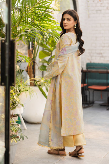 Rang Rasiya Hazel Online Shopping